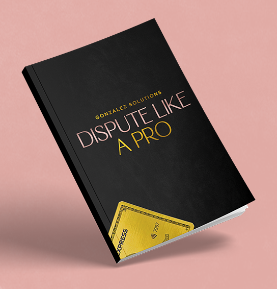 Dispute Like A Pro